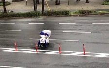 Chống chọi trước bão dữ để giao pizza đúng giờ