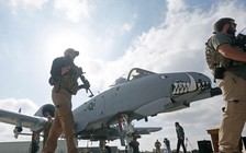 Mỹ xác nhận đã tiêu diệt thủ lĩnh IS tại Afghanistan