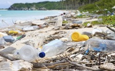 ‘Dùng một lần’ trở thành từ của năm 2018