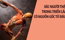 Xác người thật trong triển lãm gây tranh cãi có nguồn gốc từ đâu?