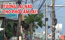Phố cẩm lai gặp khó vì đường dây điện không chịu “cao” thêm