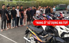 Phá “hang ổ” sử dụng ma tuý trong căn hộ cao cấp