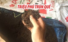 Triệu phú trùn quế tuổi 9X