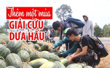 Lại thêm một mùa Sài Gòn “giải cứu” dưa hấu Quảng Ngãi