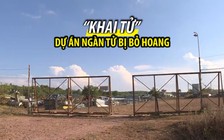 “Khai tử” dự án bột giấy và giấy ngàn tỉ