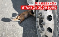 Tránh con chó đang qua đường, 4 xe tải gặp tai nạn liên hoàn