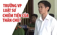 Luật sư nói “không ăn cắp trái cà, trái ớt” vẫn lãnh án 12 năm tù