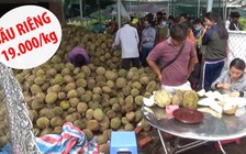 Chuyện lạ ở miền Tây: Sầu riêng 'bao no' 19.000 đ/kg, chỉ cần trả hạt