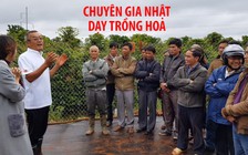 Chuyên gia Nhật Bản giúp nông dân Đà Lạt canh tác hoa