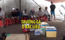 “Đầu tư” tiền xây cổng để lập trường gà quy mô lớn