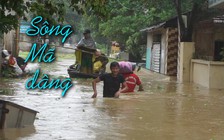 Đóng bè di chuyển ở thành phố Thanh Hóa vì nước sông Mã dâng