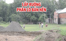 Bát nháo tình trạng san lấp ruộng lúa, ruộng muối phân lô bán nền