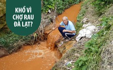 Dân kêu khổ vì chợ rau Đà Lạt gây ô nhiễm môi trường