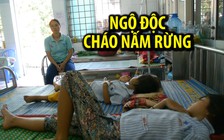 Ba bà cháu bị ngộ độc vì ăn cháo nấm rừng