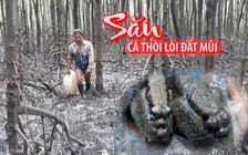 Theo nông dân vào rừng đước lội bùn săn cá thòi lòi