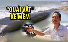 Khách Tây tắm bên những “quái vật” nằm vắt vẻo trên biển Mũi Né