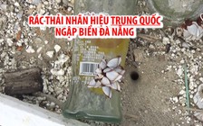 Rác thải nhãn hiệu Trung Quốc tràn ngập bãi biển Đà Nẵng sau mưa lớn