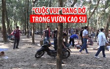 “Cuộc vui” dang dở trong vườn cao su của 39 ông mê đá gà