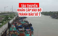 Kêu gọi tàu thuyền khẩn cấp vào bờ tránh bão số 1