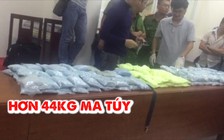 Thu giữ 44 kg “hàng trắng” trong đường dây ma túy xuyên quốc gia cực lớn