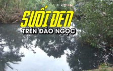 Cá chết trên dòng suối đen ngòm ở Phú Quốc, dân chịu không nổi