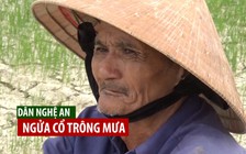 Dân Nghệ An ngửa cổ trông mưa giữa mùa hạn đồng khô, hồ cạn