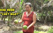 Kỷ niệm đáng sợ trong vụ nổ khí gas khiến cả khu vườn bị “chết ngạt”