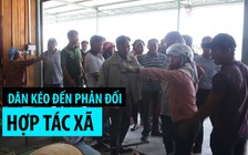 Hợp tác xã biến đất làm muối thành cơ sở chế biến hải sản không phép