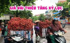 Bán một xe vải thiều được mười mấy triệu đồng, về khoe cả làng