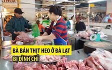 Bà chủ kho lạnh chứa hàng tấn thịt heo thối bị tạm đình chỉ kinh doanh