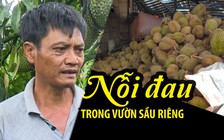 Nỗi đau xót khi nhìn gió tuốt rụng hàng trăm tấn sầu riêng ở Lâm Đồng