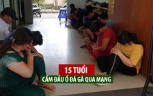 Thiếu niên 15 tuổi cầm đầu ổ đá gà qua mạng “khủng” ở Sài Gòn