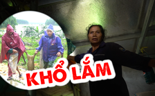 Người dân Hà Tĩnh hối hả dọn đồ, đưa vật nuôi lên cao để chạy lũ