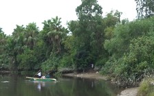 Cả xã hết hồn vì con cá sấu 50 kg bỗng xuất hiện trên sông