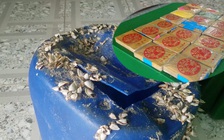 Tiếp tục phát hiện 21 gói ni lông có chữ Trung Quốc nghi ma túy trôi trên biển