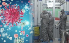 TP.HCM sẽ triển khai bệnh viện dã chiến nếu virus corona lan rộng