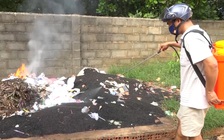 Kinh hoàng hàng triệu bọ đậu đen “oanh tạc” trường học ở Bình Phước