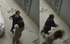 Tranh chấp chỗ đỗ xe với hàng xóm, vụ phó thuộc Bộ TN-MT bị tạm đình chỉ