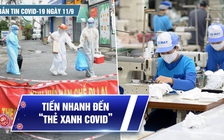 Bản tin tình hình Covid-19 hôm nay 11.9: Bộ đội vào vùng đỏ giúp dân chống bão số 5