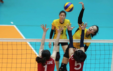 Thanh Thúy 1m92 chưa sang Nhật, bóng chuyền Việt Nam thi đấu trở lại