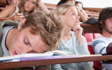 Đồ chơi giúp sinh viên nhắc nhở khi giảng viên 'gây mê'