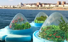 Nông trại nổi trên biển với triển vọng nông nghiệp sạch chỉ cần mặt trời