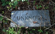 Tìm thấy 166 hài cốt trong mộ tập thể tại Mexico, nghi là nạn nhân băng đảng ma túy