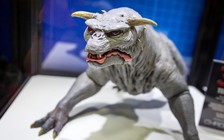 Đến khủng long bạo chúa cũng sợ loài khủng long này