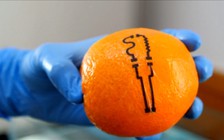 Dán hình xăm để điều trị bệnh?