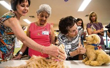 Chó robot làm ‘bạn tâm giao’ hỗ trợ bệnh nhân Alzheimer