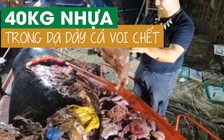 Tìm thấy 40 kg nhựa trong dạ dày cá voi chết