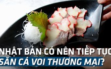 Nhật Bản rời bỏ ủy ban quốc tế để được tiếp tục săn cá voi làm thực phẩm