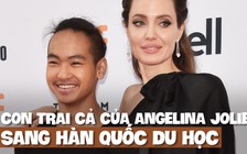 Angelina Jolie ‘bịn rịn’ chia tay con trai cả du học ở Hàn Quốc
