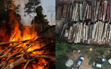 'Luật rừng' bao trùm rừng Amazon, người dân lo sợ 'sống giữa bầy sói'